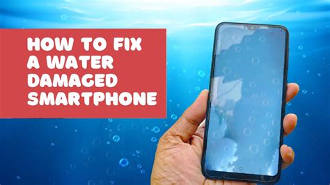 phone went in water how to fix