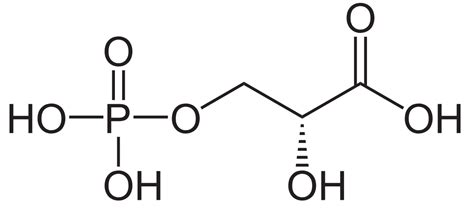Phosphoglycerate
