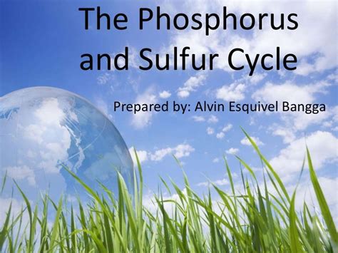 Read Online Phosphorus And Sulfur Ucar 
