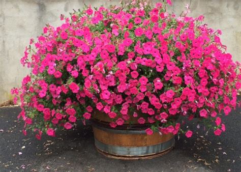 Photo à Fleury-la-Riviere