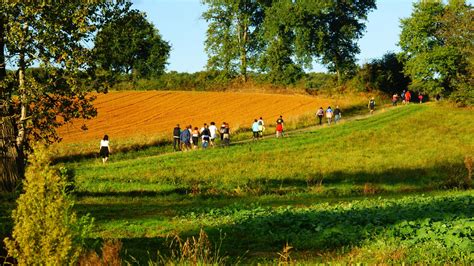 Photo à Ladeveze-Riviere