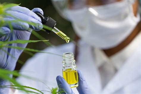 scientifique pipettant liquide jaune flacon plantes fond