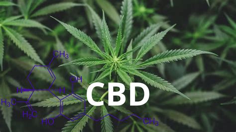 feuille de cannabis formule chimique CBD