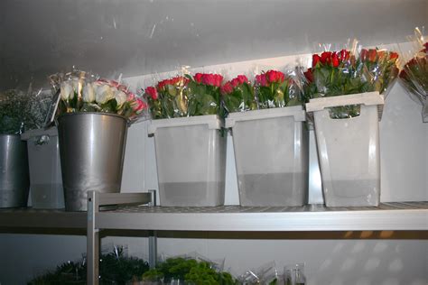 bouquets de roses seaux metal plastique etagere