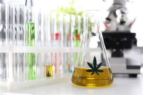 Kit de test dépistage cannabis