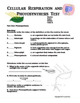 Photosynthesis And Respiration 7th Grade Science Worksheets Science Worksheet 7th Grade - Science Worksheet 7th Grade