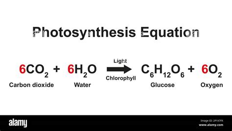 Photosynthesis Formula