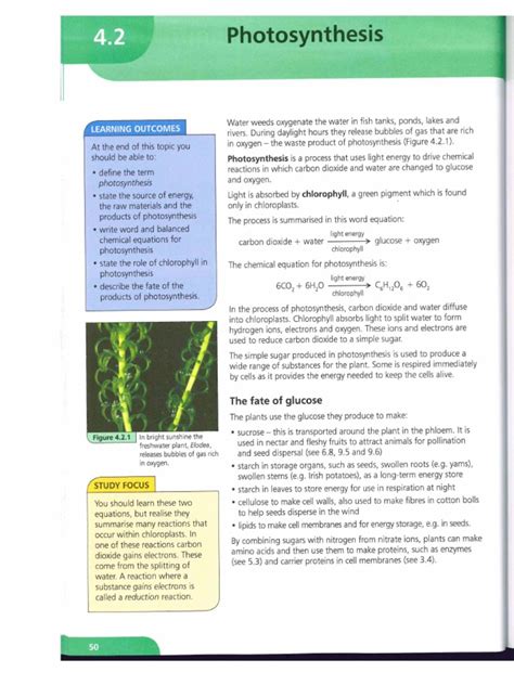 Photosynthesis Study Guide Campbell