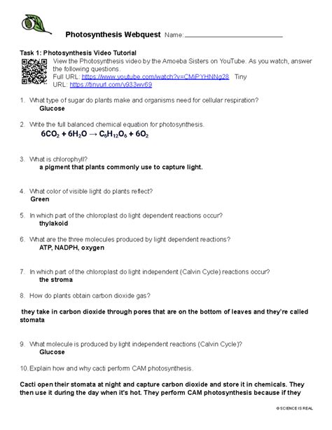 Photosynthesis Webquest