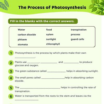 Full Download Photosynthesis Fill In The Blanks Answers 