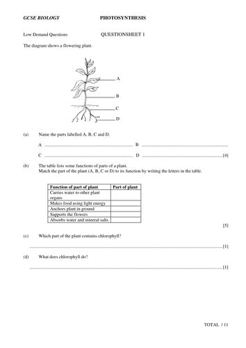 Read Online Photosynthesis Past Paper Questions Gcse 