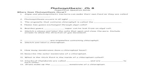 Read Photosynthesis Powerpoint Question Guide Key 