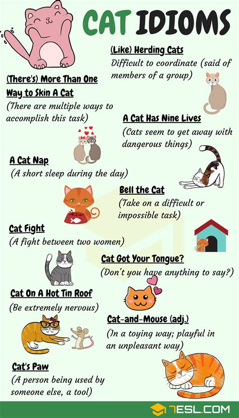 phrases - Meaning of "herding the cats" - English Language