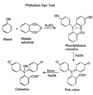 Phthalein Dye Test