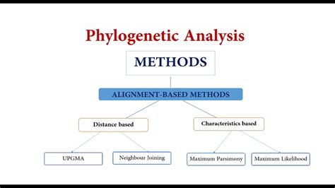 Phylogenetic Analysis Methods