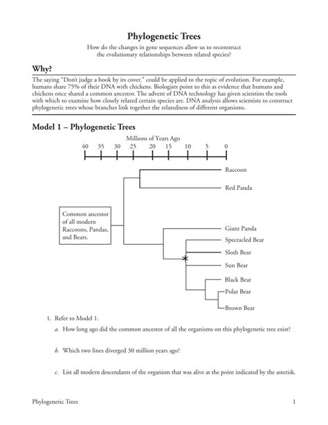 Phylogenetic Trees Worksheet