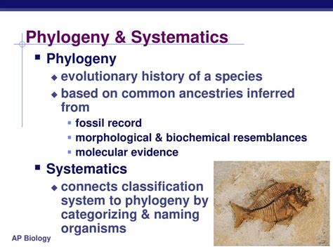 Read Phylogeny And Systematics Study Guide Answers 