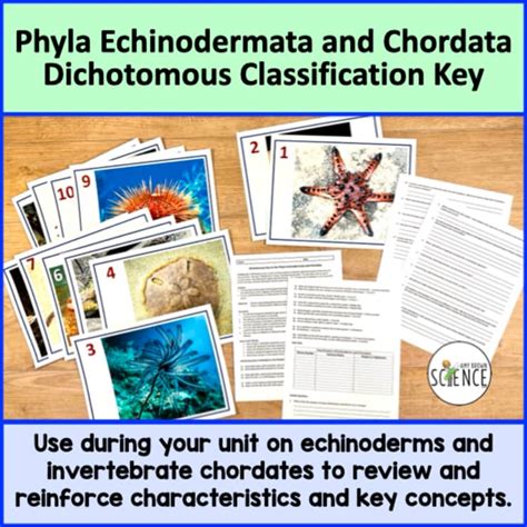 Phylum Echinodermata Webquest Exploration Key