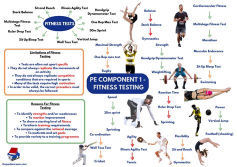 physical education fitness testing