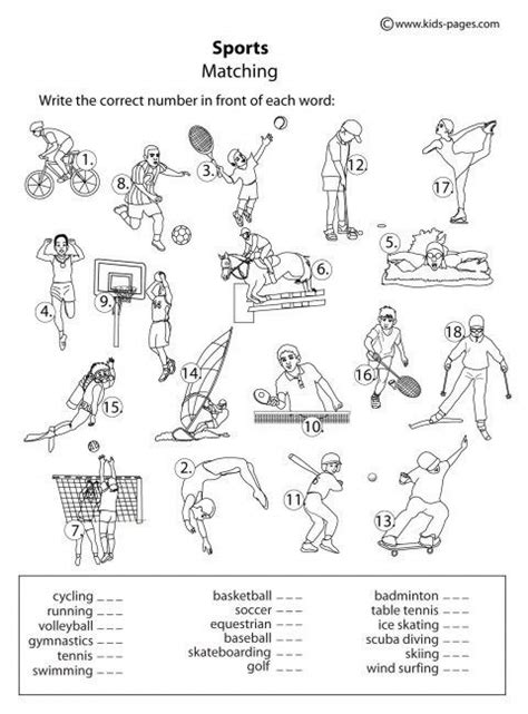 Physical Education Grade 6 Worksheets Learny Kids Sixth Grade Physical Education Worksheet - Sixth Grade Physical Education Worksheet