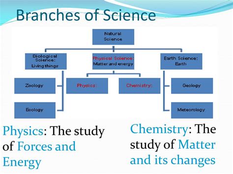 Physical Science Definition Branches Amp Examples Study Com Types Of Physical Science - Types Of Physical Science