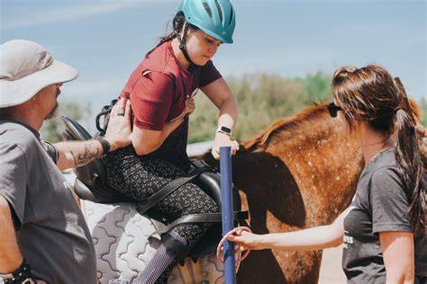 physical therapy for horses a visual course in ma