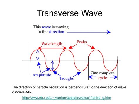 Physics Made By Teachers Transverse Wave Worksheet Answer Key - Transverse Wave Worksheet Answer Key