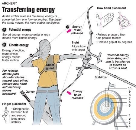 Physics Of Archery The Science Explained Untamed Science Science Of Archery - Science Of Archery