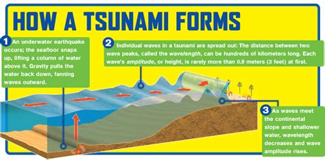 Physics Of Tsunamis Request Pdf Tsunami Science Experiments - Tsunami Science Experiments