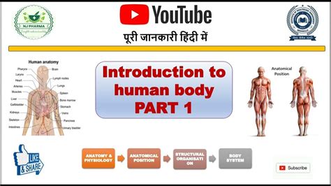 Physiology In Hindi
