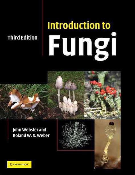 Download Physiology Of Fungi 1St Edition 