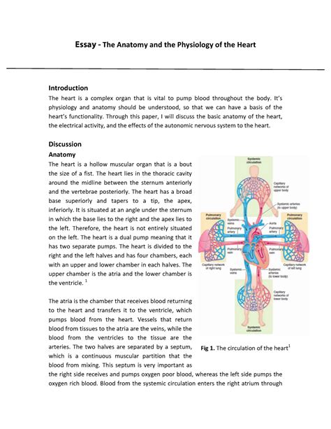 Full Download Physiology Paper Topics 