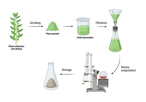 Phytochemical Screening And Extraction A Review