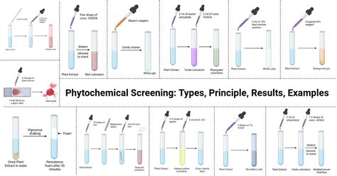 Phytochemical Screening And Study Of Comparative