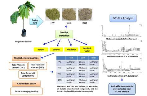 Read Online Phytochemical Analysis Methods 
