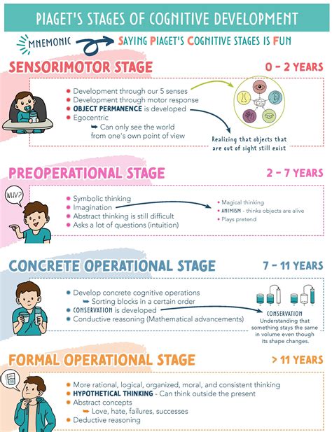 Piaget's Cognitive Development Theory