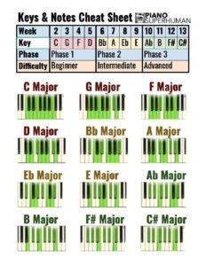 Piano University Cheat Sheets