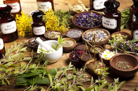 Piante Officinali