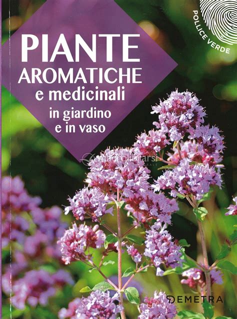 Read Piante Aromatiche E Medicinali In Giardino E In Vaso 