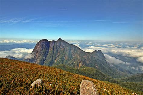 pico parana