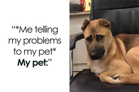 Pics Of Funny Memes