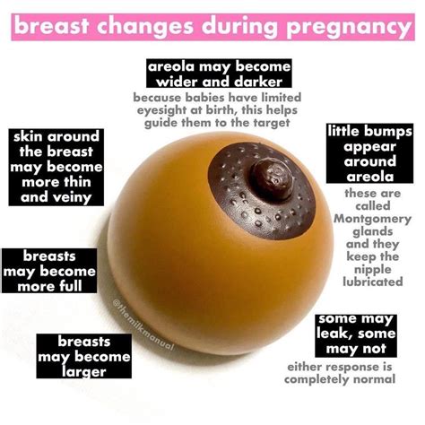 Early Pregnancy Signs: Black or Darkening Areolas