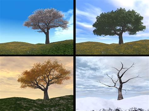 Picture Of Different Seasons   Same Picture Different Season Intrepidxju0027s Adventure - Picture Of Different Seasons