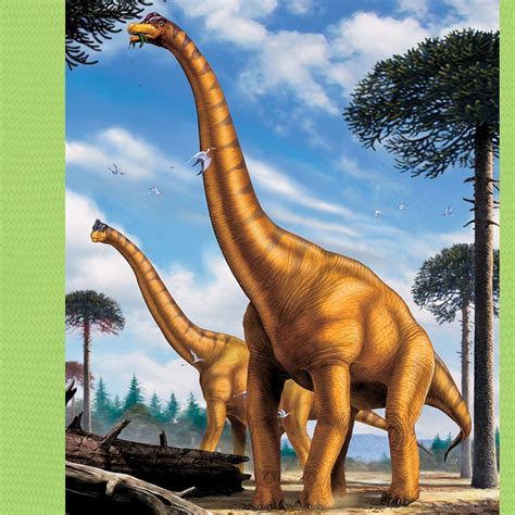 Picture Of Dinosaur