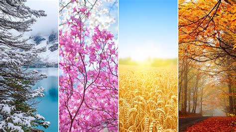 Picture Of The 4 Seasons   Free Printable Pictures Of The Four Seasons - Picture Of The 4 Seasons