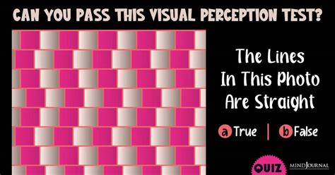 Picture Perception Test