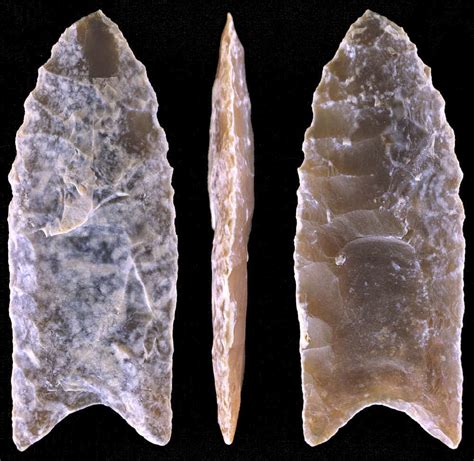 pictures of clovis points