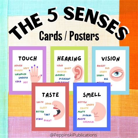 Pictures Of The 5 Senses Posters Prek Resource Printable Pictures Of The Five Senses - Printable Pictures Of The Five Senses