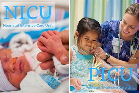 Picu Vs Nicu
