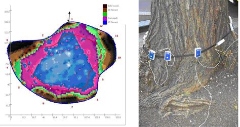 Picus Tree Tomography Methods At A Glance
